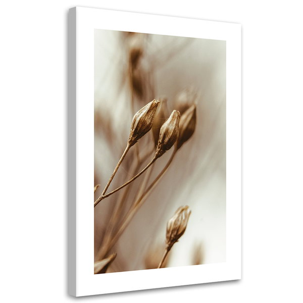 Kunstdruck auf Leinwand 'Sepia Toned Dried Flower Buds'