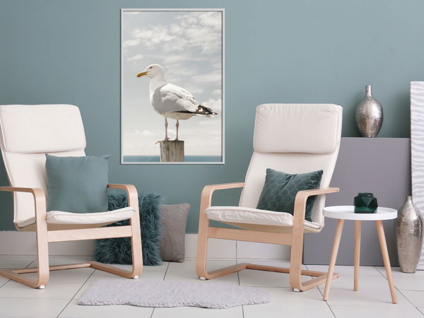 Poster 'Curious Seagull'