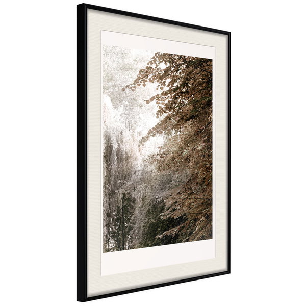 Poster 'Pond in the Park'