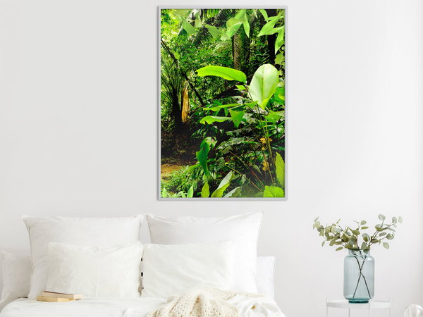 Poster 'In the Rainforest'