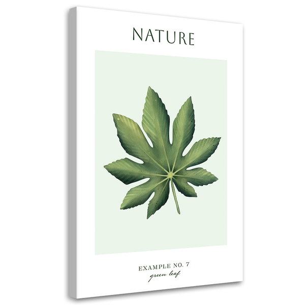 Kunstdruck auf Leinwand 'Green Leaf #7'