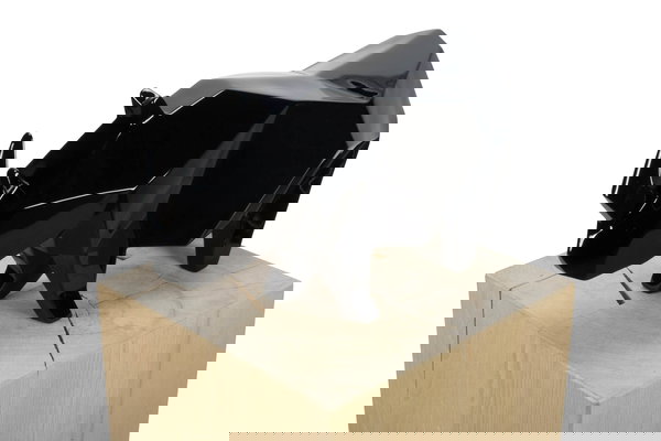 Un oggetto prezioso per la tua casa