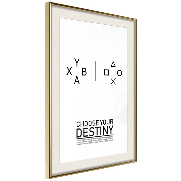 Poster 'Choose Your Destiny'
