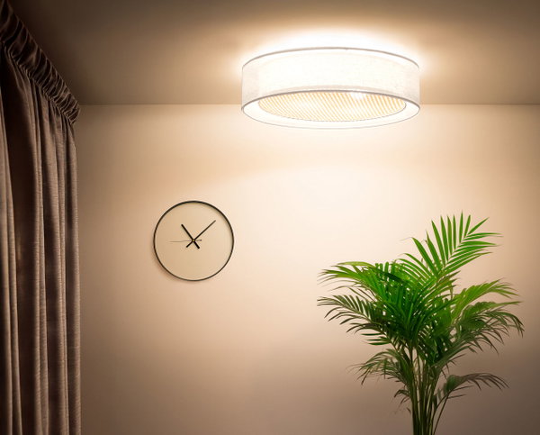 Suspension luminaire 'Puro Silent Bloom 1'