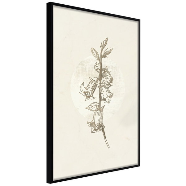 Poster 'Beige Campanula'