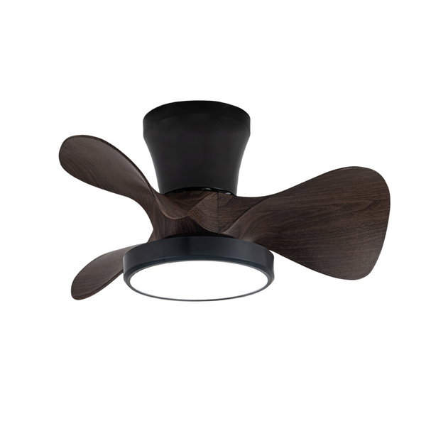 Deckenventilator 'Moll MC1'