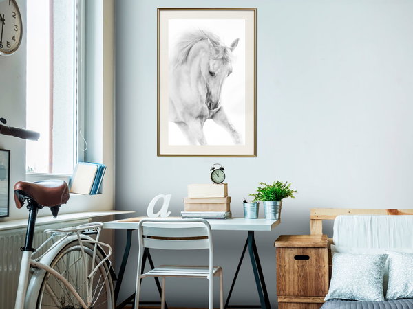 Poster 'White Horse'
