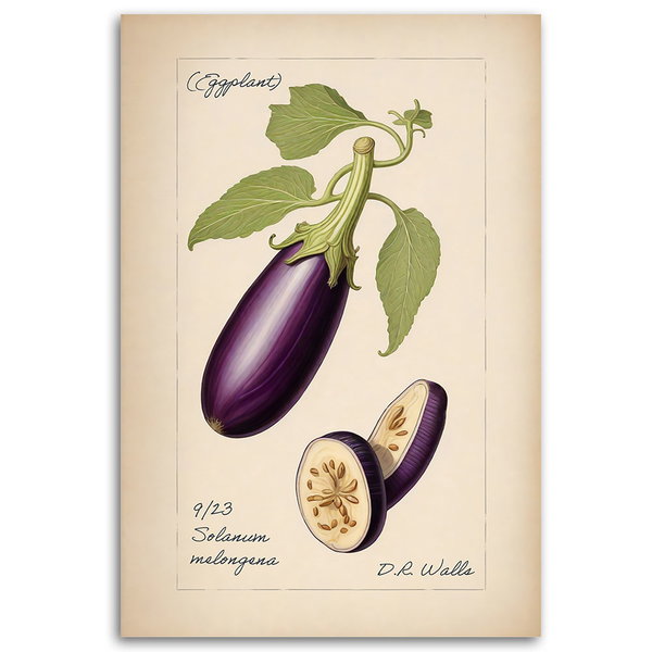 Kunstdruck auf Leinwand 'Eggplant'