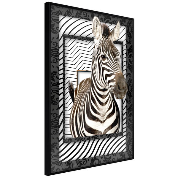 Poster 'Zebra in the Frame'