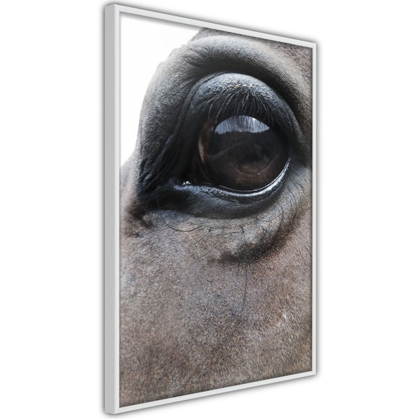 Poster 'Honest Eyes'