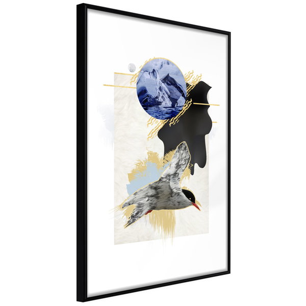 Poster 'Antarctic Tern'