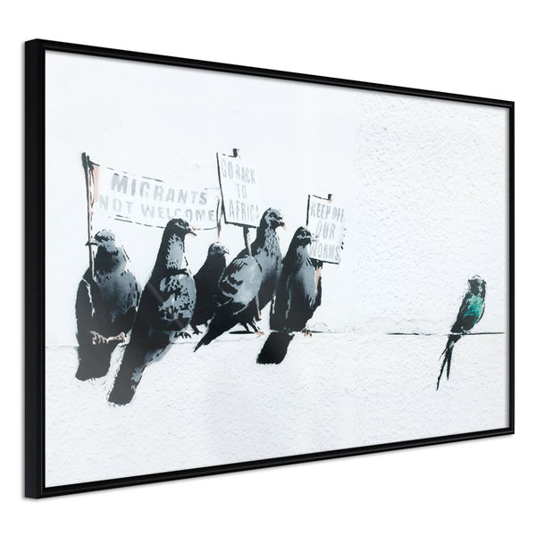 Poster 'Xenophobic Pigeons'