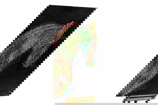 Een uniek exemplaar voor je interieur