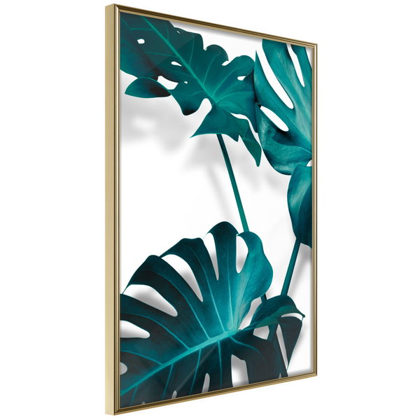 Poster 'Turquoise Monstera II'