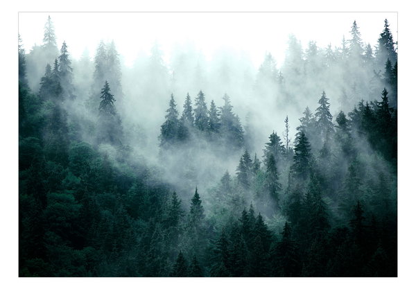 Selbstklebende Tapete 'Mountain Forest (Dark Green)'