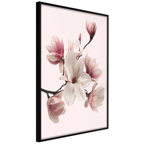 Poster 'Blooming Magnolias I'
