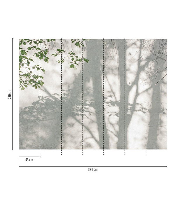 Tapete 'Shadow Leaves' 371x280cm