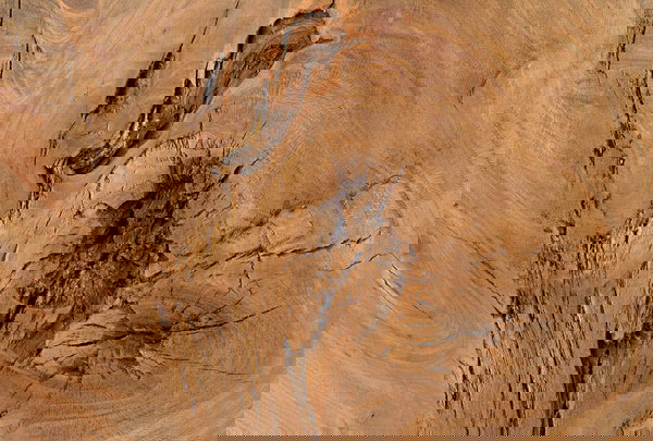 Tapet 'Log of Wood' 400x270cm