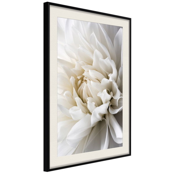 Poster 'Peace of Mind'