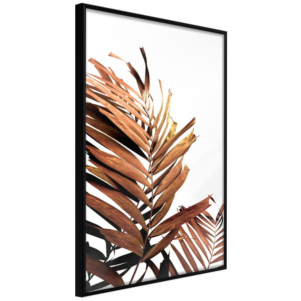 Plakat 'Copper Palm'