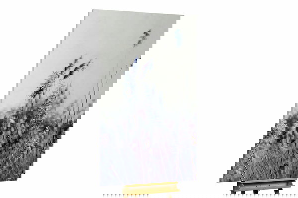 Un ejemplar único para su hogar o puesto de trabajo