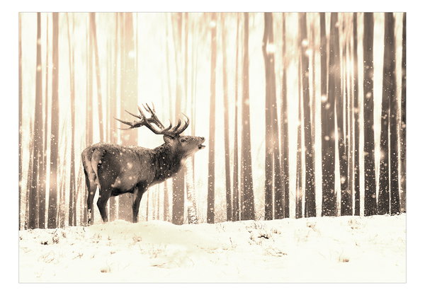 Selbstklebende Tapete 'Deer in the Snow (Sepia)'