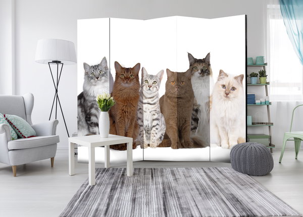 Paravent 'Sweet Cats II'