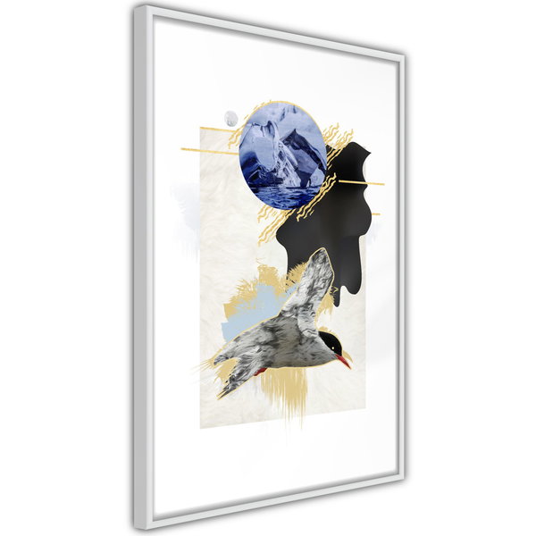 Poster 'Antarctic Tern'