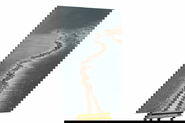 Um exemplar único para a sua decoração interior