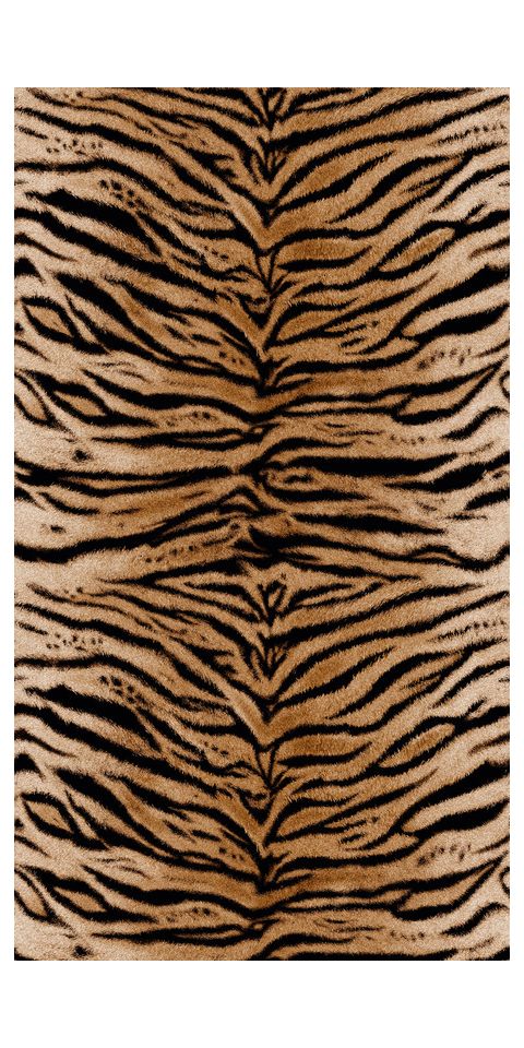 Papel de parede 'Wild Stripes' 159x280cm