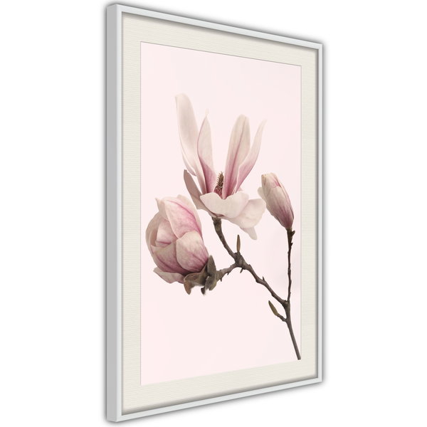 Poster 'Blooming Magnolias II'