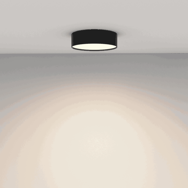 Ceiling Light 'Zon 9'