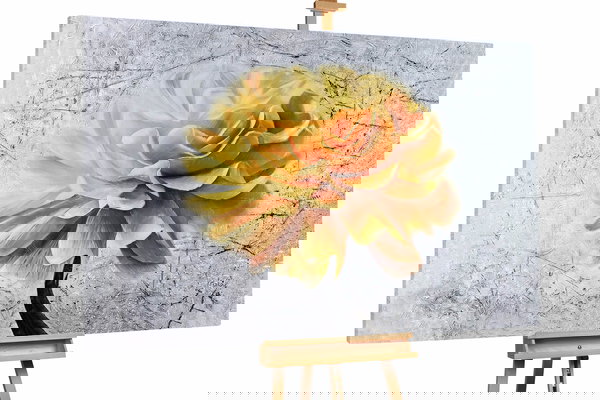 Un ejemplar único para su hogar o puesto de trabajo