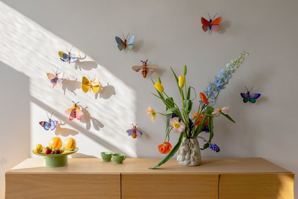 Wanddeko Papier 'Gedämpfte Flügelschönheit'