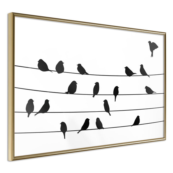 Poster 'Birds Council Meeting'