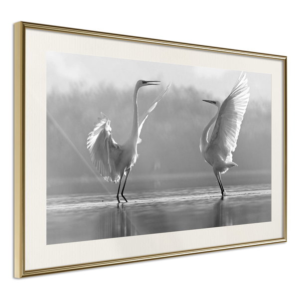 Poster 'Black and White Herons'