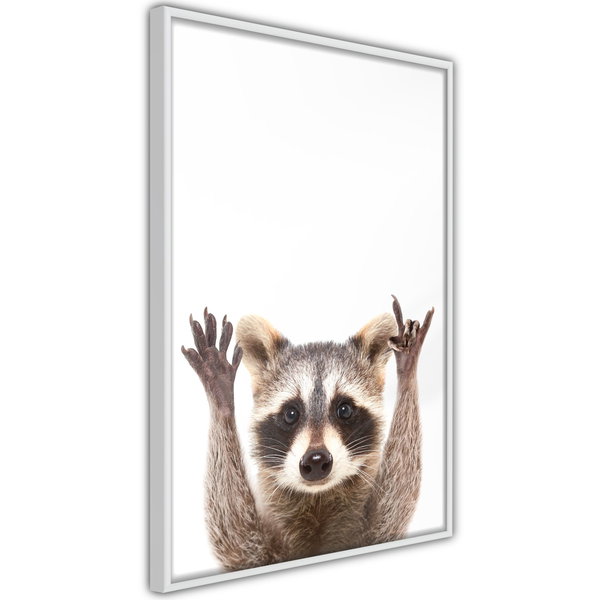 Poster 'Raccoon'