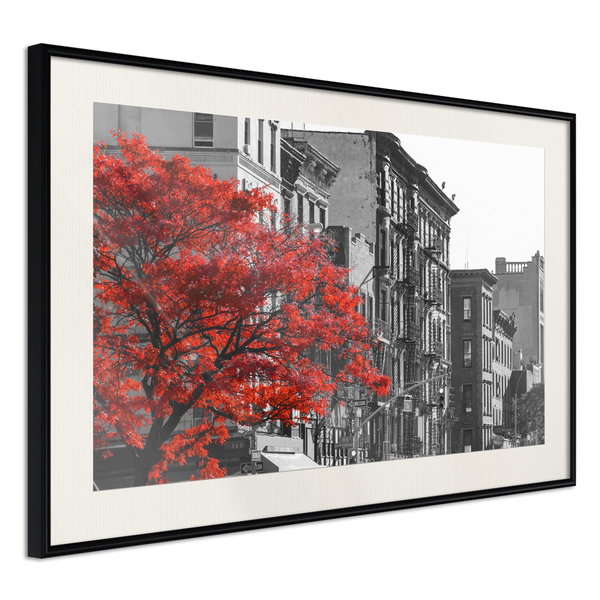 Poster 'Autumn Colours II'