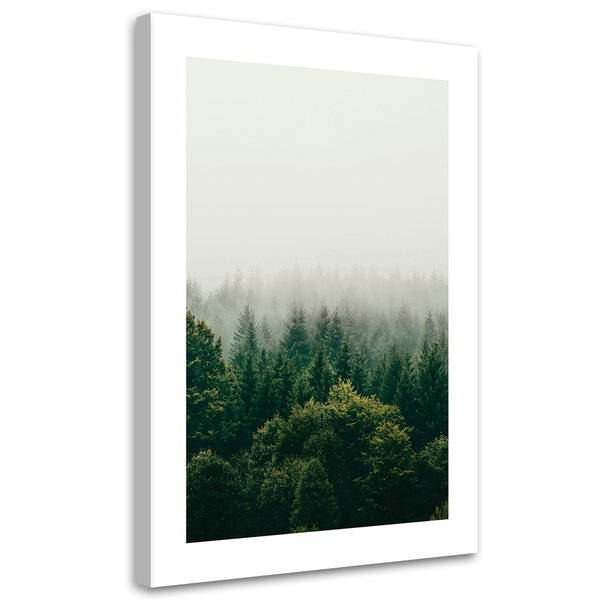 Kunstdruck auf Leinwand 'Foggy Evergreen Forest'
