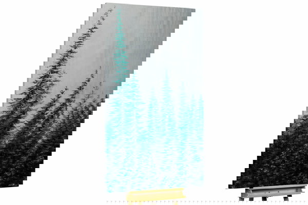 Un ejemplar único para su hogar o puesto de trabajo