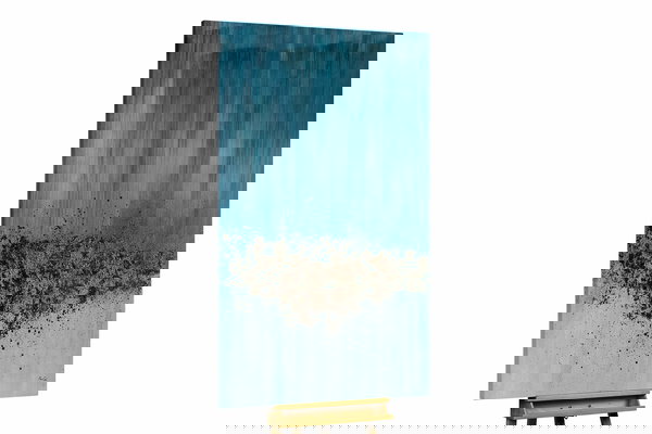 Un ejemplar único para su hogar o puesto de trabajo