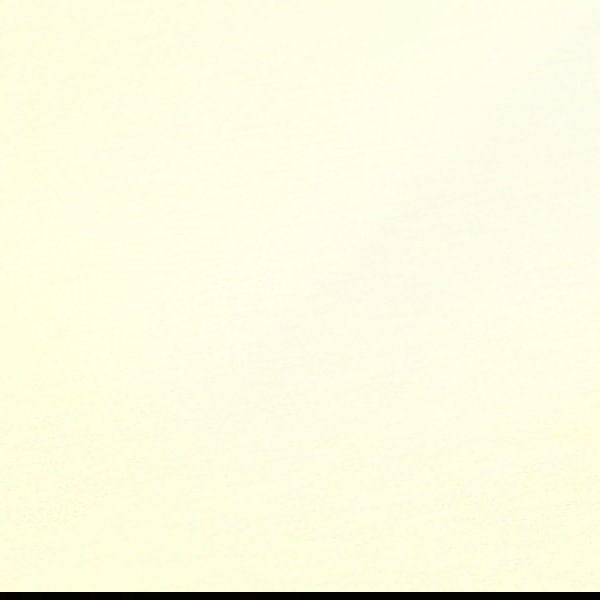 Papier peint 'Quietude' 53x1005cm