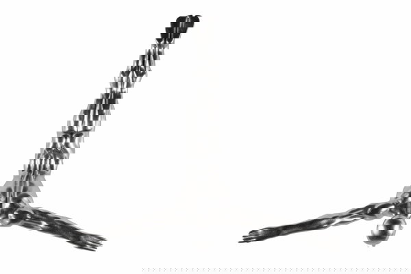 Een schat voor je woning