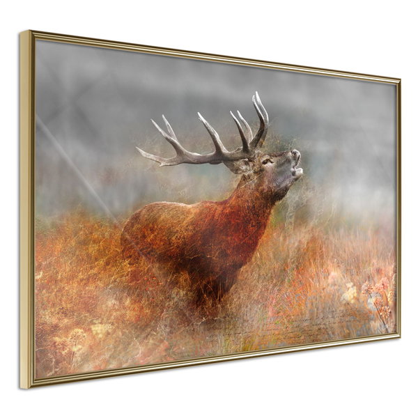Poster 'Rut'