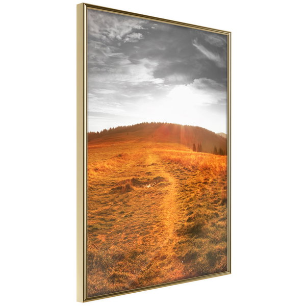 Poster 'Prairie'
