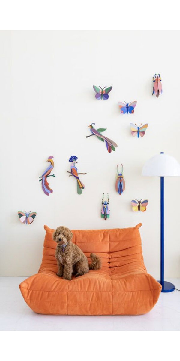 Wanddeko Papier 'Exotischer Vogel'