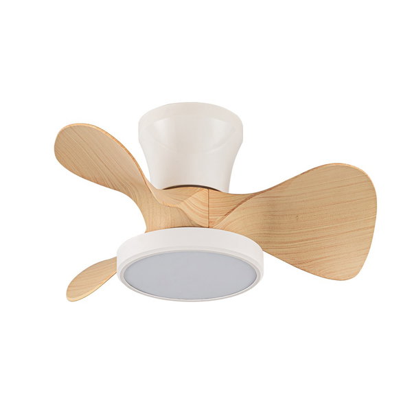 Deckenventilator 'Moll MC1'