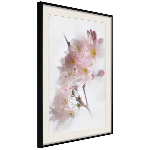 Poster 'Scent of Spring'