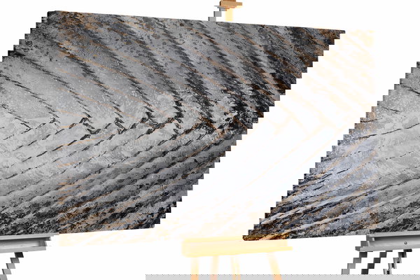 Een uniek exemplaar voor je interieur