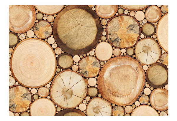 Tapete 'Holzmaserungen'
